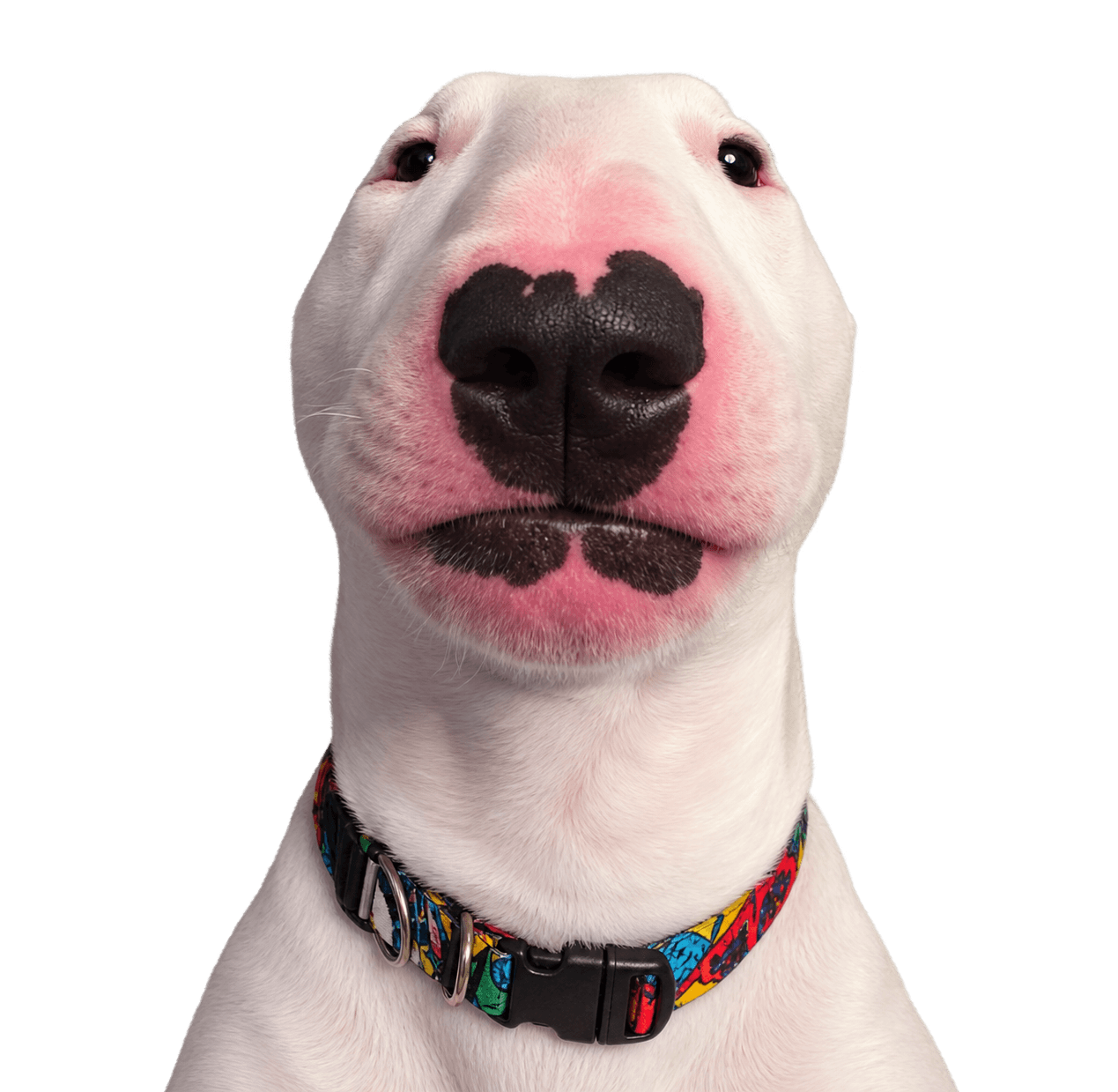 ARCPAW
